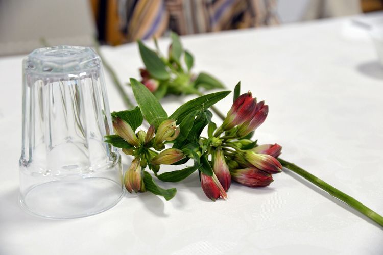 Iskolánkban 2026.03.06-án meghitt hangulatban ünnepeltük a Nemzetközi Nőnapot