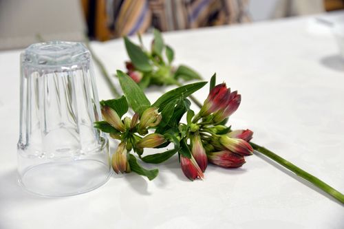 Iskolánkban 2026.03.06-án meghitt hangulatban ünnepeltük a Nemzetközi Nőnapot